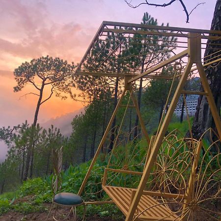 The Westberry 50Mtrs Offroading And 50 Mtrs Nature Path Bed and Breakfast Σίμλα Εξωτερικό φωτογραφία