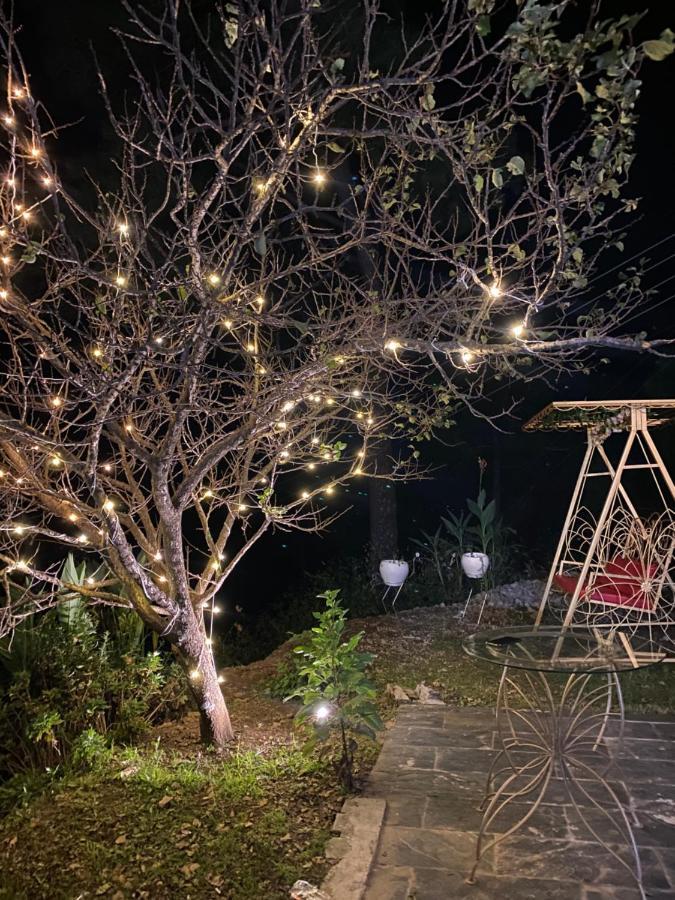 The Westberry 50Mtrs Offroading And 50 Mtrs Nature Path Bed and Breakfast Σίμλα Εξωτερικό φωτογραφία