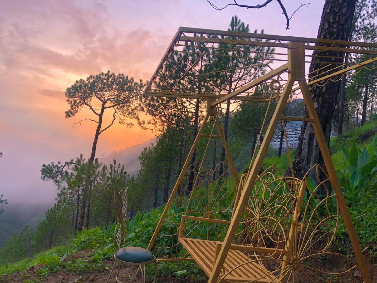 The Westberry 50Mtrs Offroading And 50 Mtrs Nature Path Bed and Breakfast Σίμλα Εξωτερικό φωτογραφία